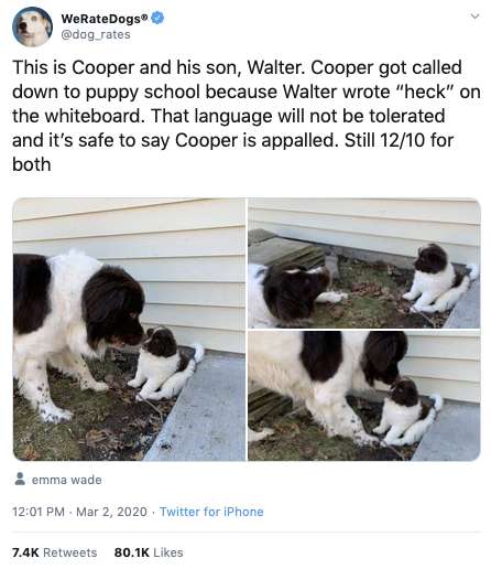 doggolingo tweet