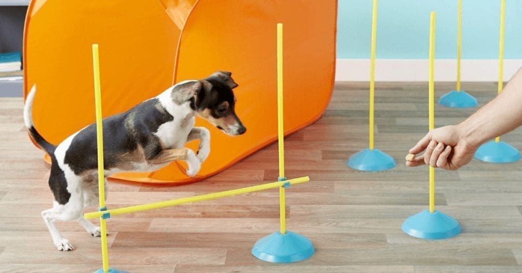 working-from-home-agility