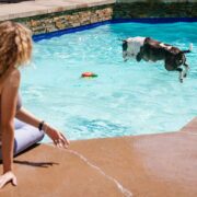 dog pool toys