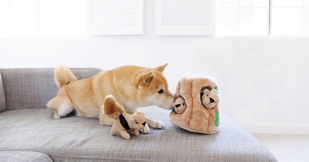 The Hide-A-Squirrel is great at providing mental stimulation for dogs