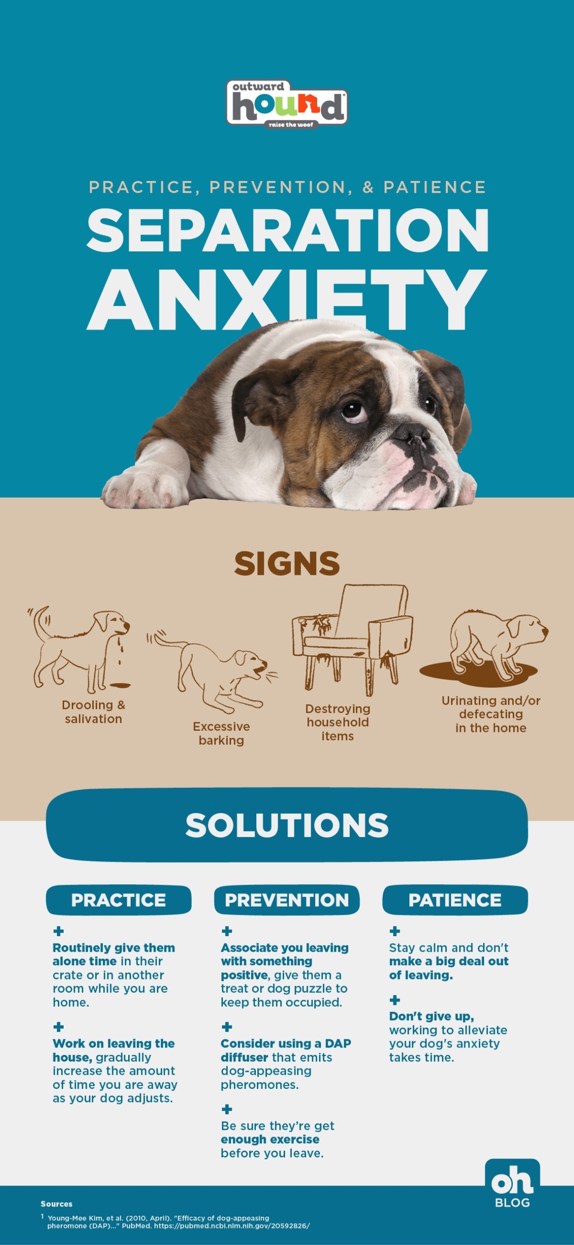 dog separation anxiety infographic