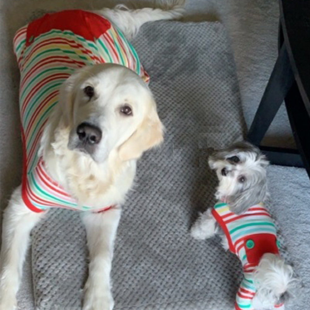 co-woofers-waffles-savannah