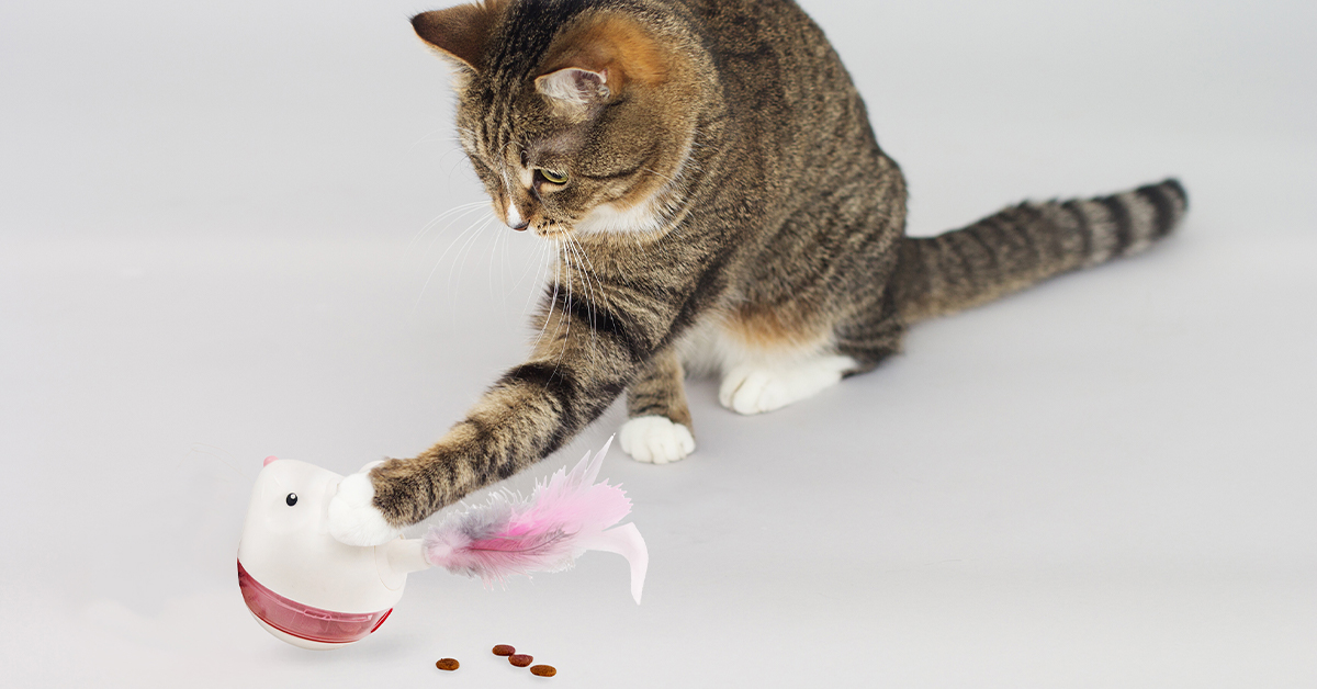 hunt n swat treat tumbler for cats