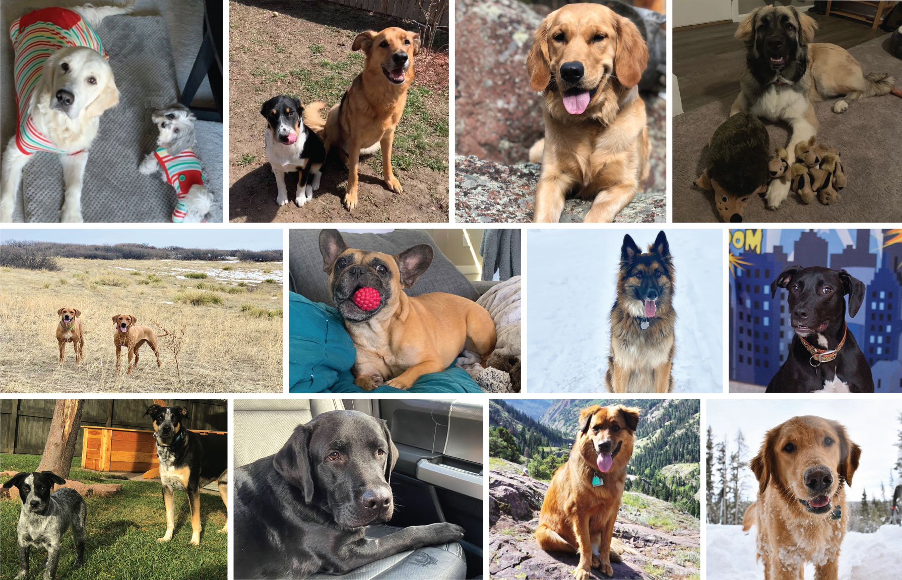 CO-WOOFERS ROUND UP: MEET OUR TEAM