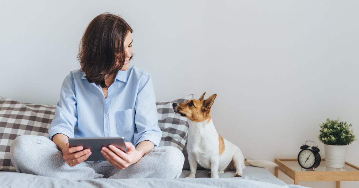 Prevent Dog Separation Anxiety As Quarantine Lifts