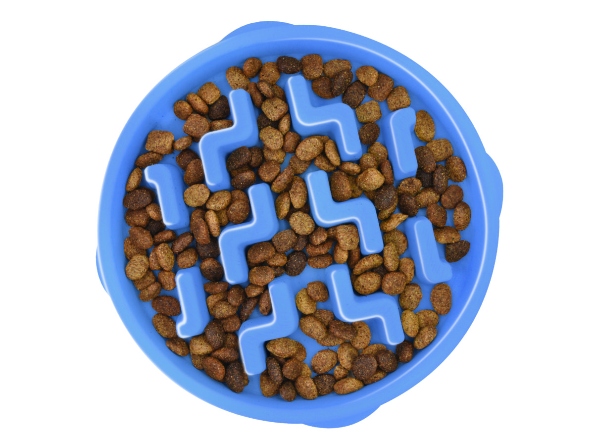 best dog food for dry skin