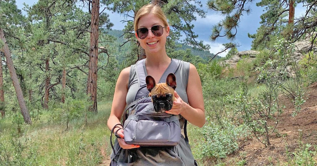 Adventure Louis in Outward Hound Carrier