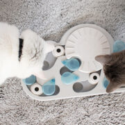 cat puzzle toys & interactive cat games