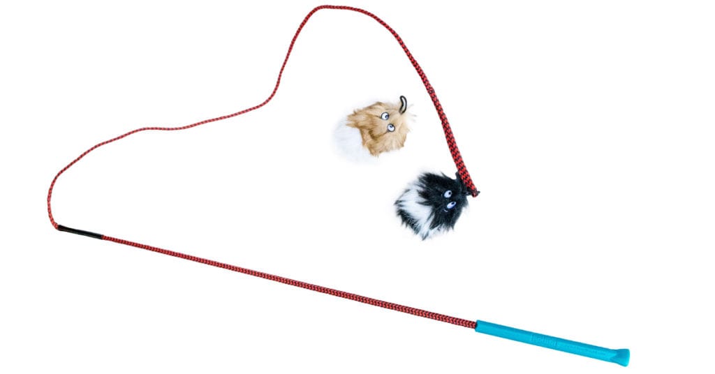 The Tail Teaser is one of the best outdoor dog toys