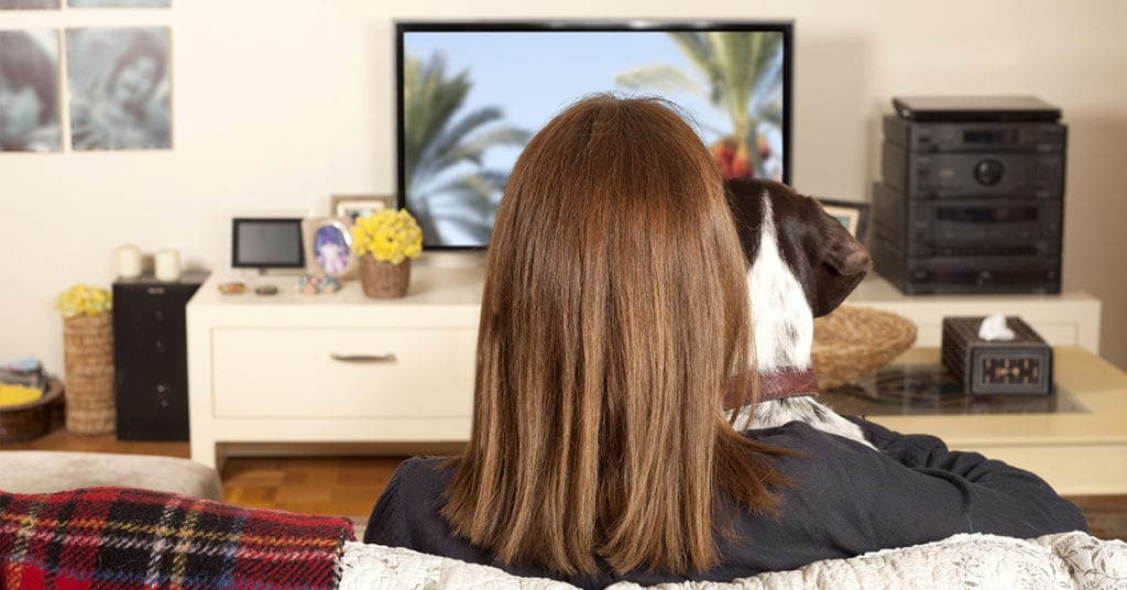 dog-facts-dog-watching-tv