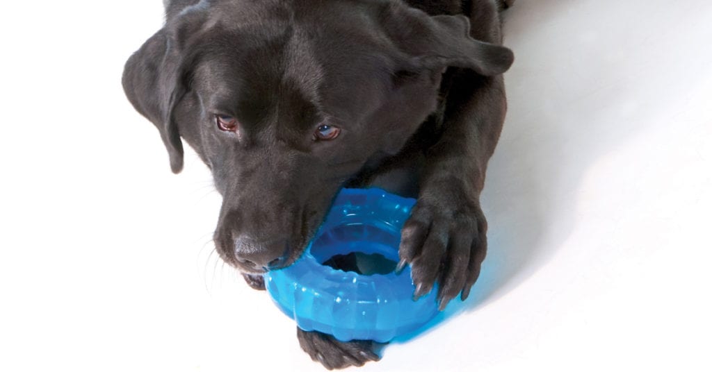 orka tire durable chew toy for dogs