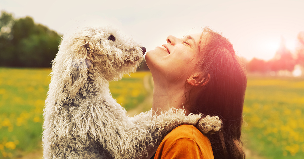 5 Spring-Time Musts With You Pup