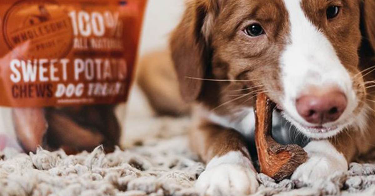 single ingredient dog treats