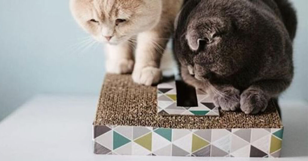 The Scratch & Rock Cat Scratcher can help soothe stress in pets