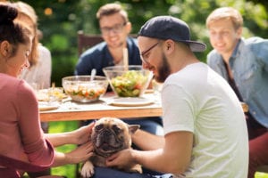 french bulldog picnic cookout