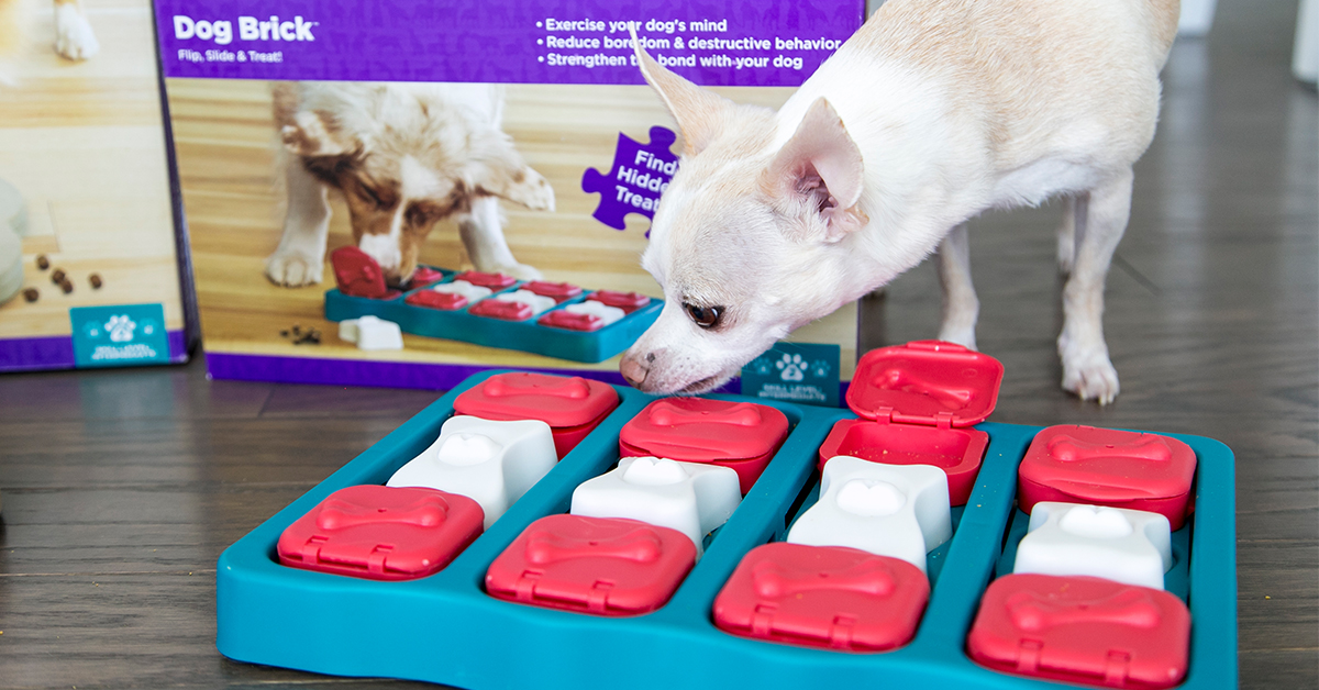 dog brick puzzle game