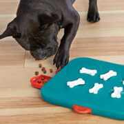 dog casino dog puzzle toy