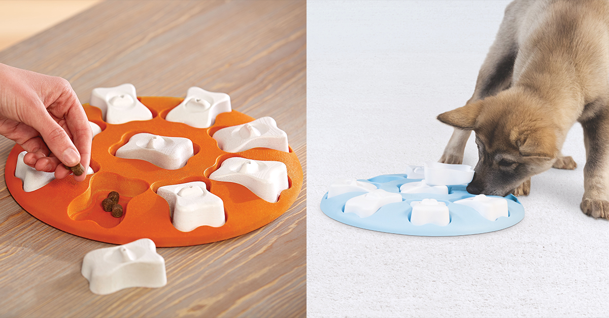 dog smart interactive dog puzzle