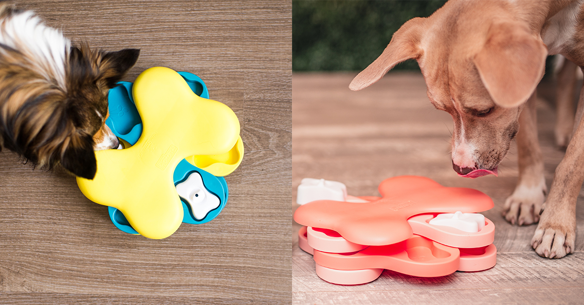 dog tornado best dog toys for boredom