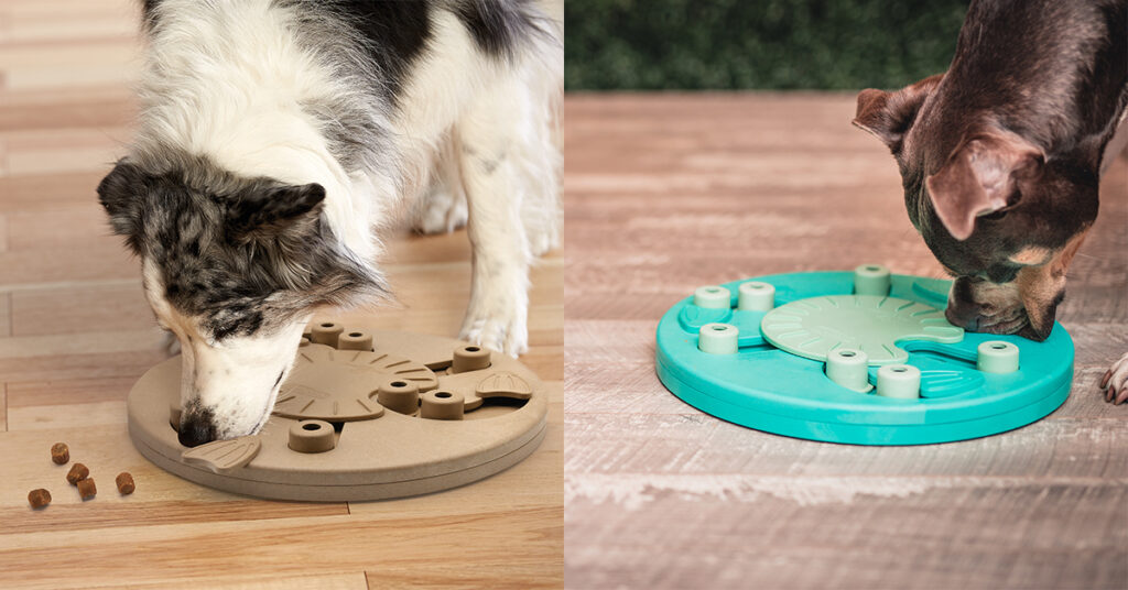 dog worker interactive dog puzzles