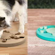 dog worker interactive dog puzzles