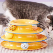cat enrichment toys