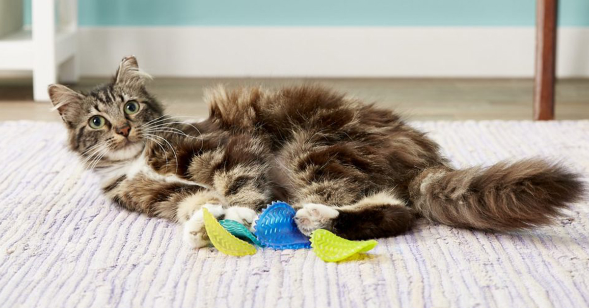toss n flip chip cat chew toys