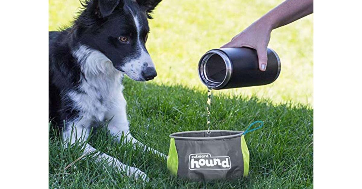 portable dog bowl water bowl