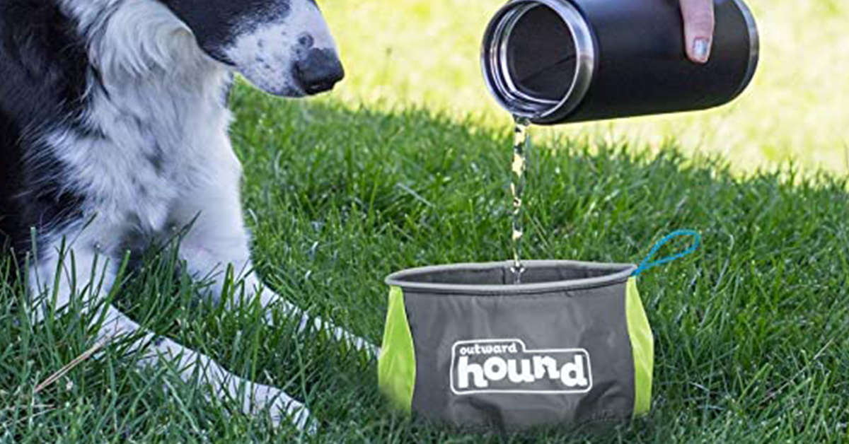 portable dog bowl