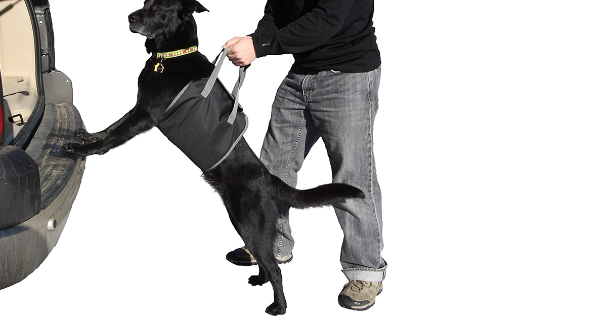 the PupBoost Harness is essential to have on a road trip with a dog