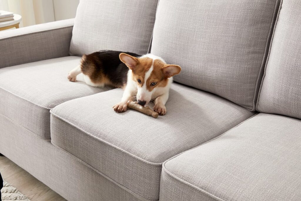 best toys for puppies