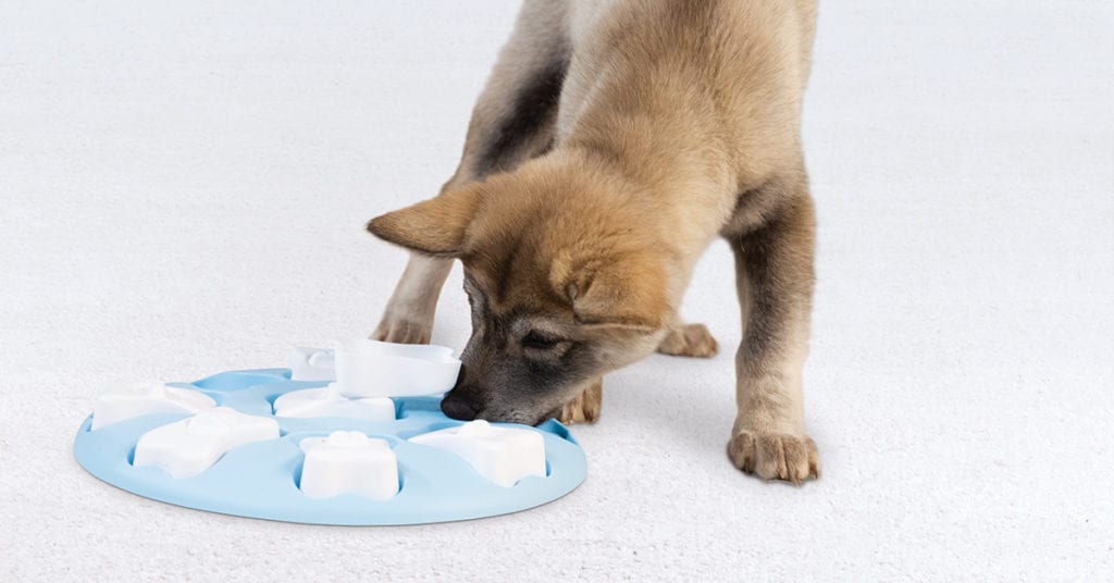 best dog puzzles puppy smart