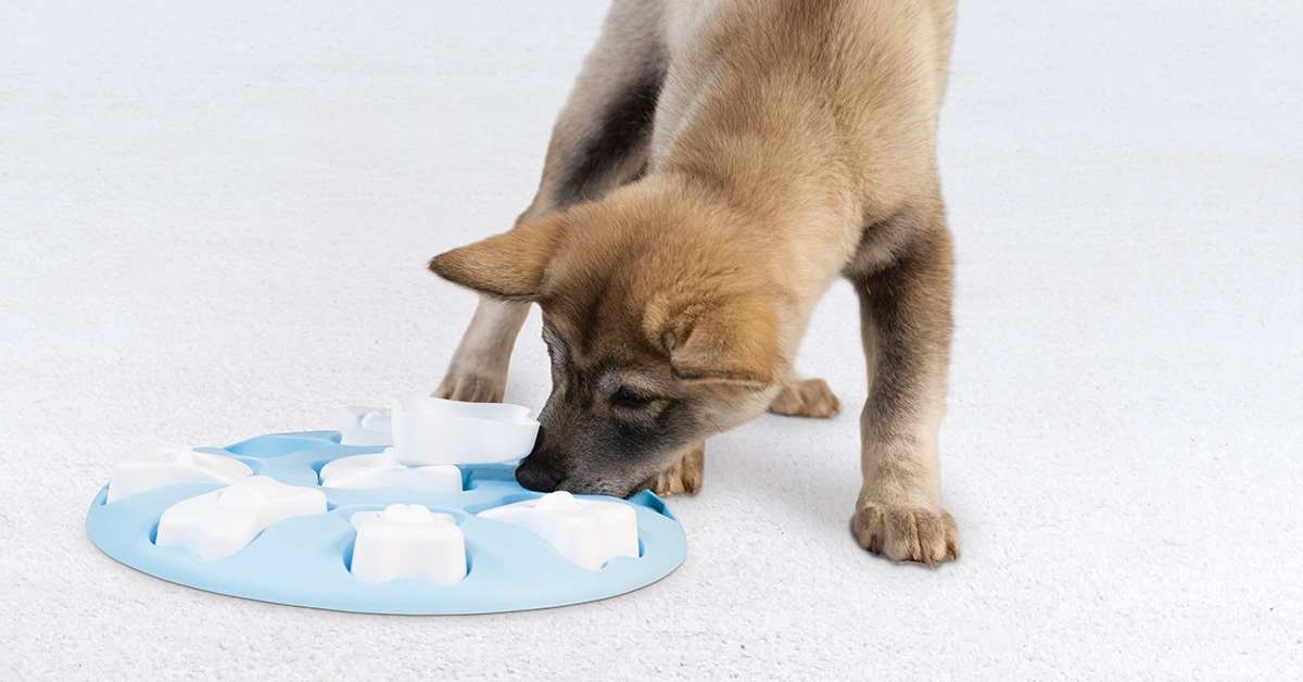 best dog puzzles puppy smart