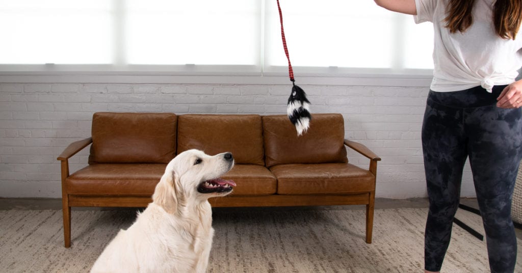 best-toys-for-puppies