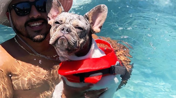 Outward Hound Dog Life Jacket
