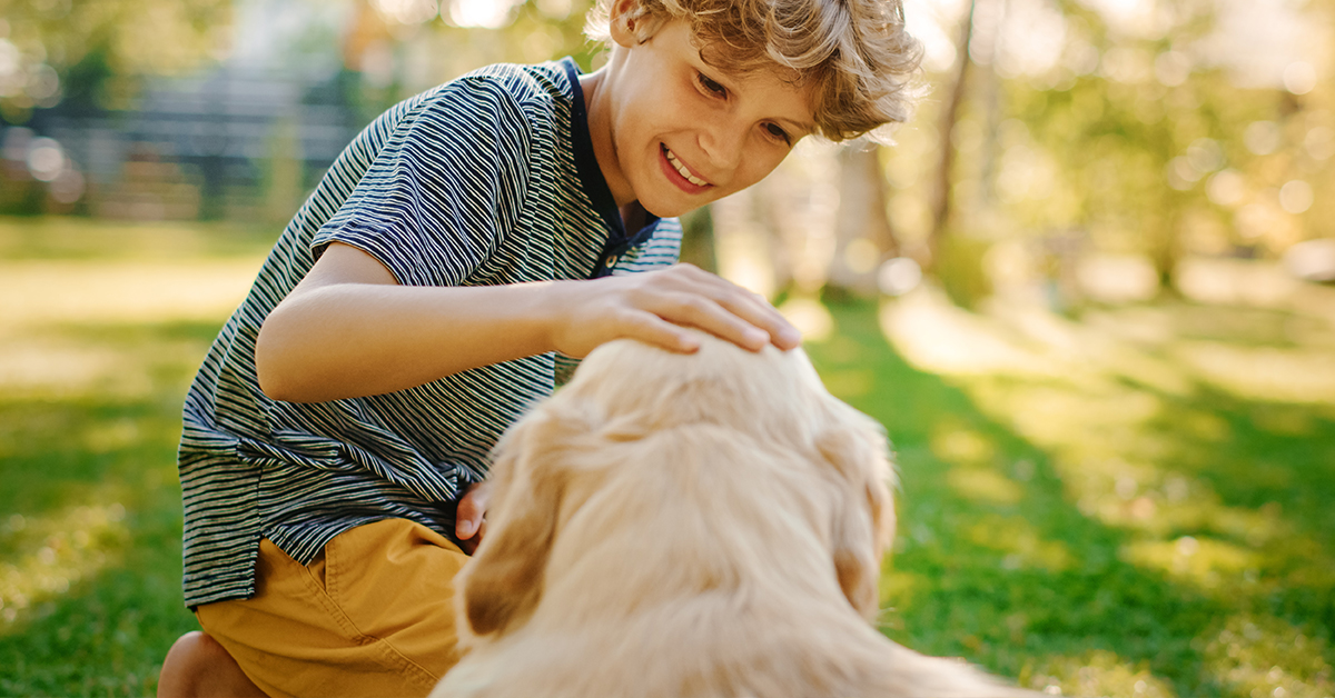 golden-retriever-toys