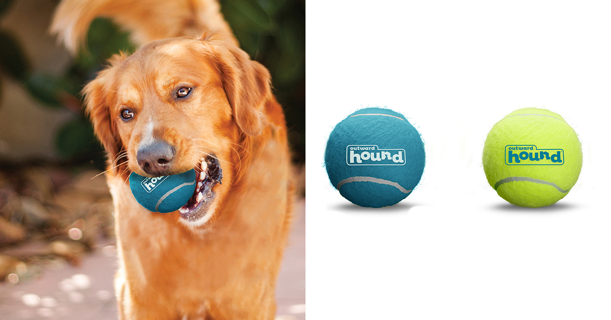 squeaker-ballz-dog-toys