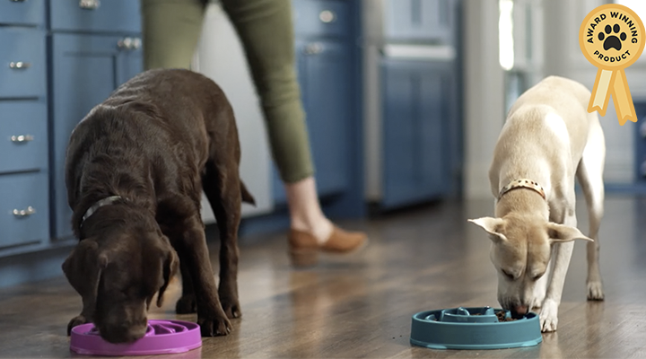 Fun Feeder Slo Bowl Named Winner of  WDJ’s Slow Feeder Device Test