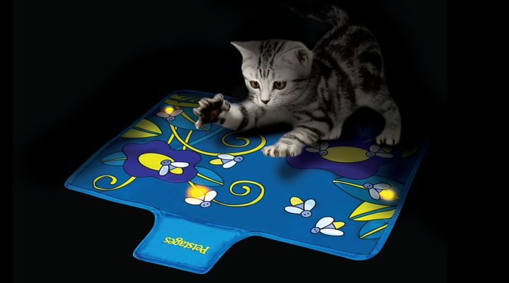 how to get a cat to sleep at night with a quiet toy
