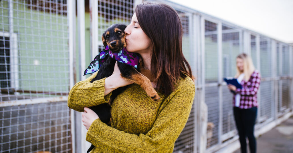 first time dog owner tips
