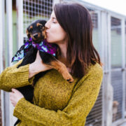first time dog owner tips