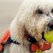 life jacket