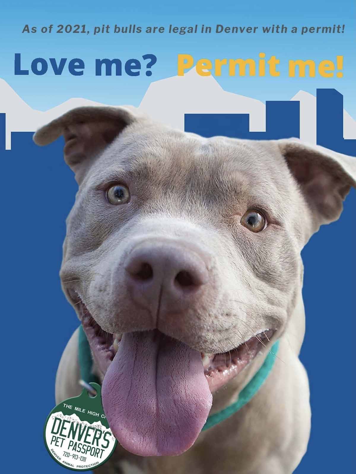 denver bsl