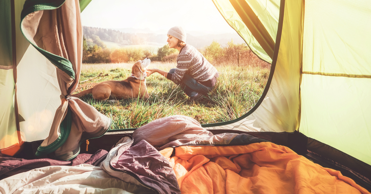 dog friendly campgrounds