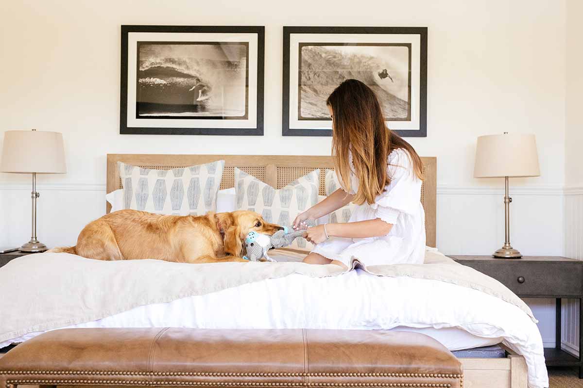 dog playing in bed with human