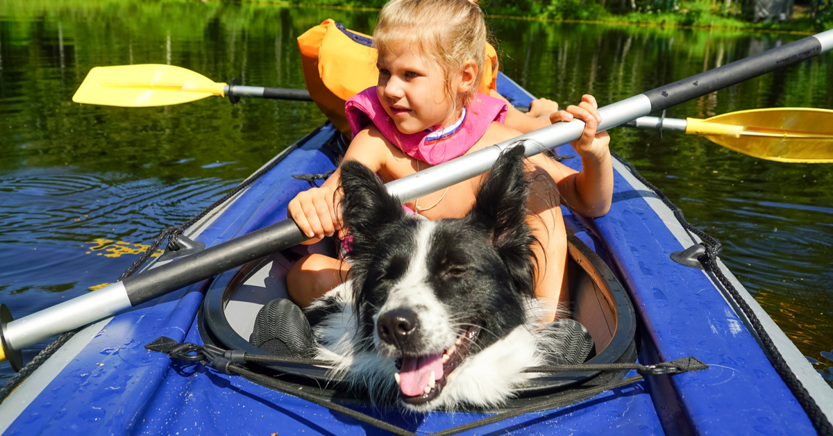 dog kayak
