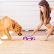 human helping dog with puzzle