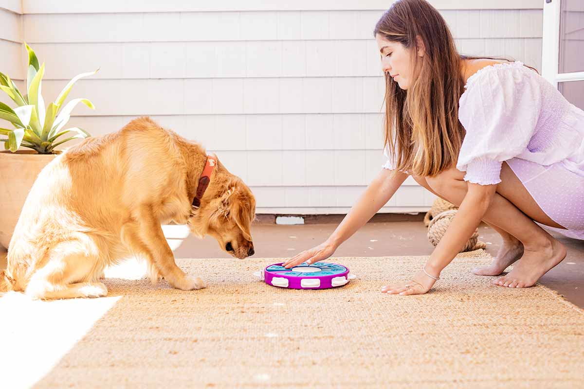 Nina Ottosson’s Tips & Tricks: Hacking the Dog Twister