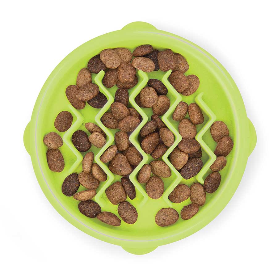slow feeder cat bowl