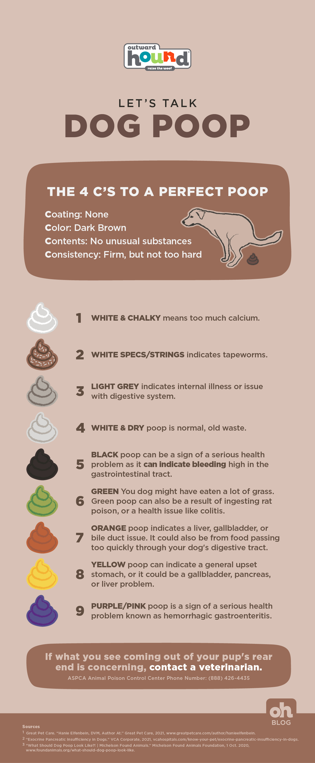 why is my dog's poop white? healthy dog poop chart